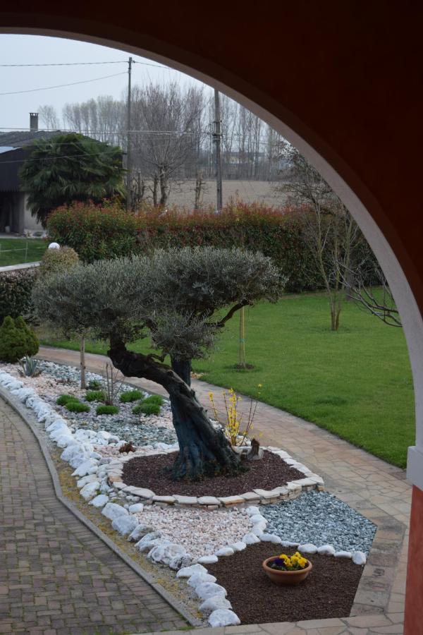 Vigonovo Il Farfasole住宿加早餐旅馆 外观 照片