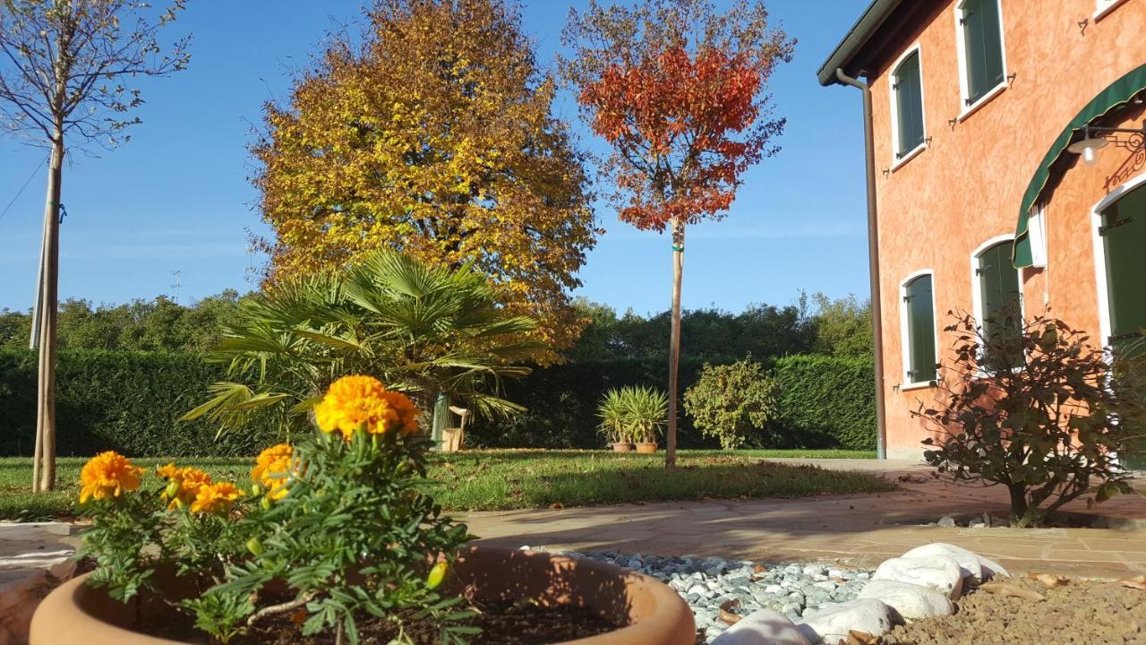 Vigonovo Il Farfasole住宿加早餐旅馆 外观 照片